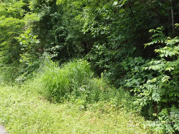 830 Cove Creek Ln, Weaverville, NC 28787