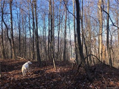 1 Moonstone Trl, Hot Springs, NC, 28743