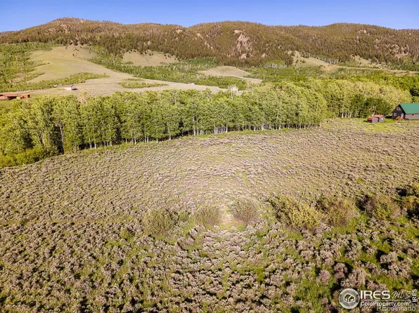 80 Trapper Court, Jelm, CO 82063