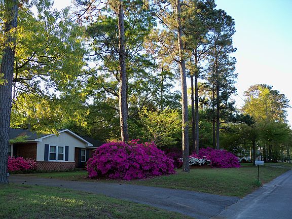 Lovely mature landscaping