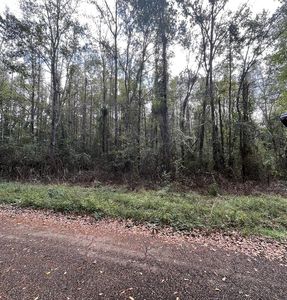 1069 Morgantown Rd, McComb, MS, 39648