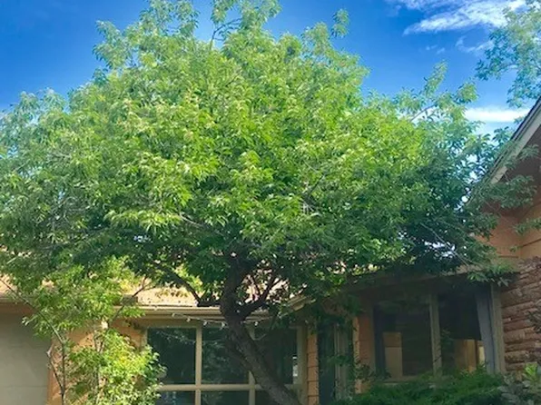 1515-1525 Kalmia, 1525 Kalmia Ave #2, Boulder, CO 80304