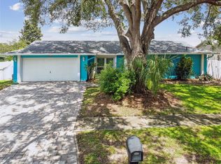 3925 Dunaire Dr, Valrico, FL 33596