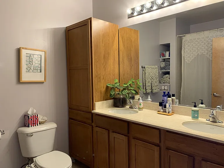 3963 W Belmont Ave #341 — Photo 8