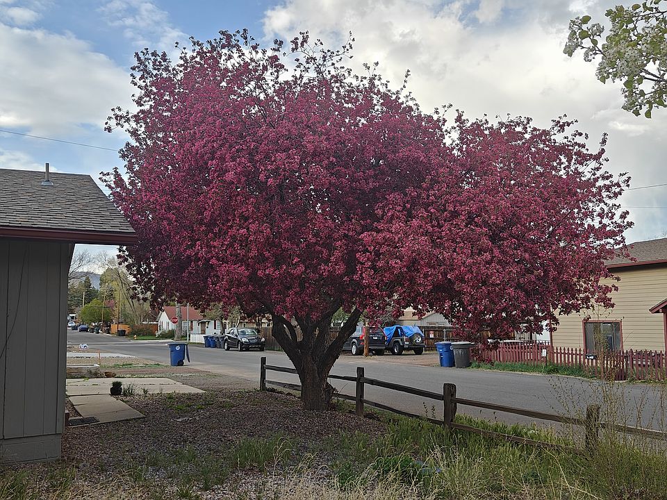 A view from the front door