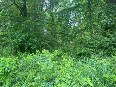 419 Yates St, Marshall, TX, 75672