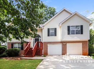 313 Lacebark Ln, Hampton, GA 30228