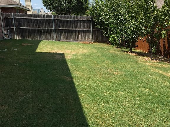 Backyard, left