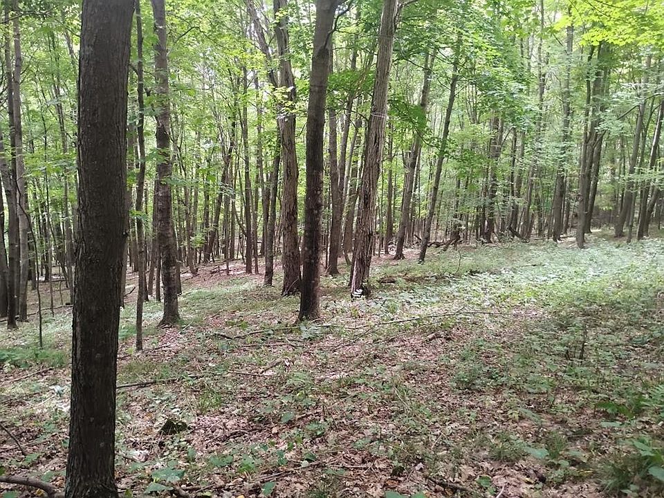 1st image of 0 1130th Avenue