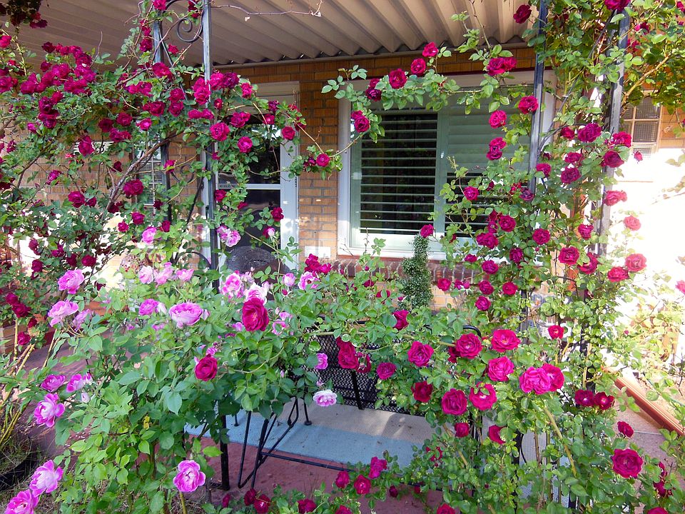 3223 Fenton Front Porch