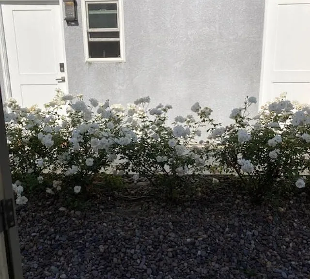 7922 Newlin Ave #C — Photo 23