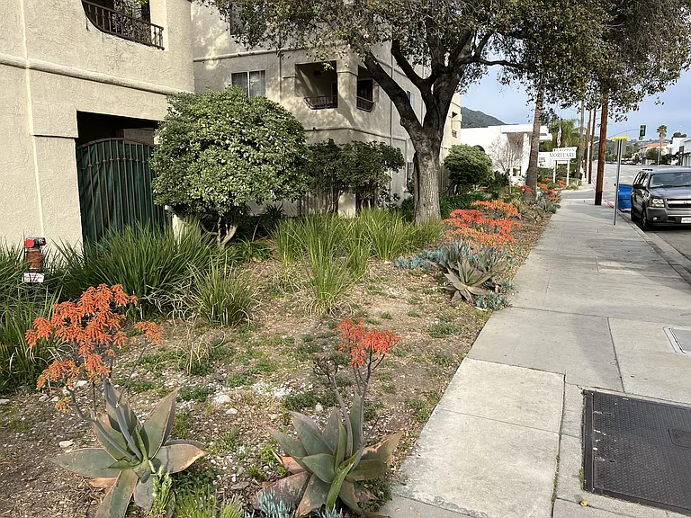 Twin Oaks — Photo 7