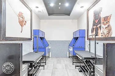 Rented by MySpaceNYC