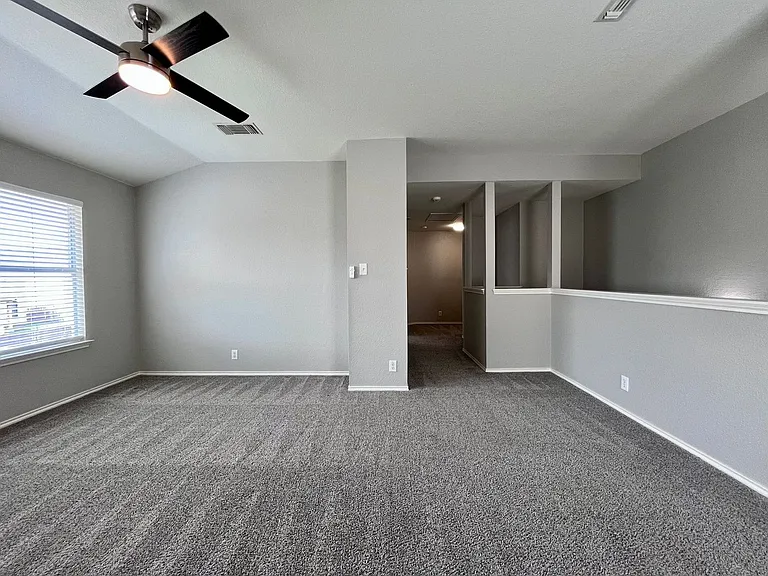 8734 Snow Goose — Photo 12