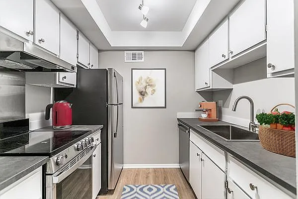 Asheville Arms Apartments — Photo 7