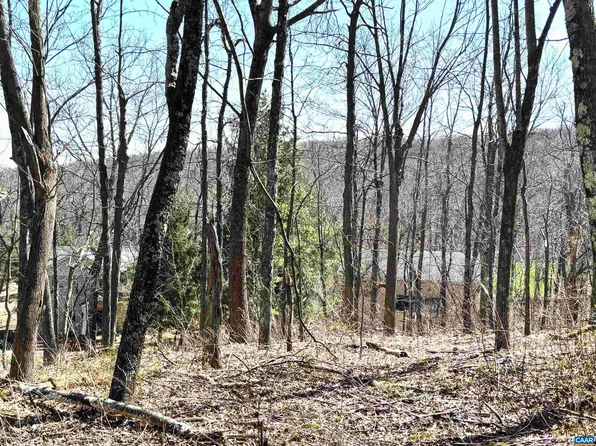 433 Laurel Springs Dr, Roseland, VA 22967