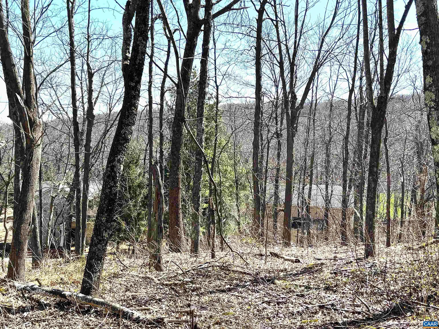 433 Laurel Springs Dr photo 1
