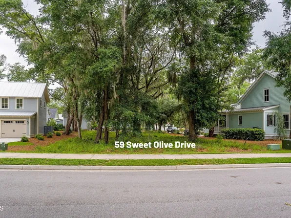 59 Sweet Olive Drive, Beaufort, SC 29907