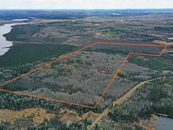 4268 Crane Lake Rd, Orr, MN 55771