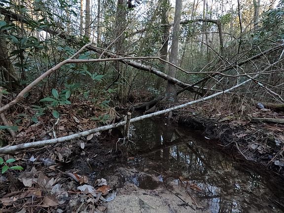 2nd image of County Line Rd S
