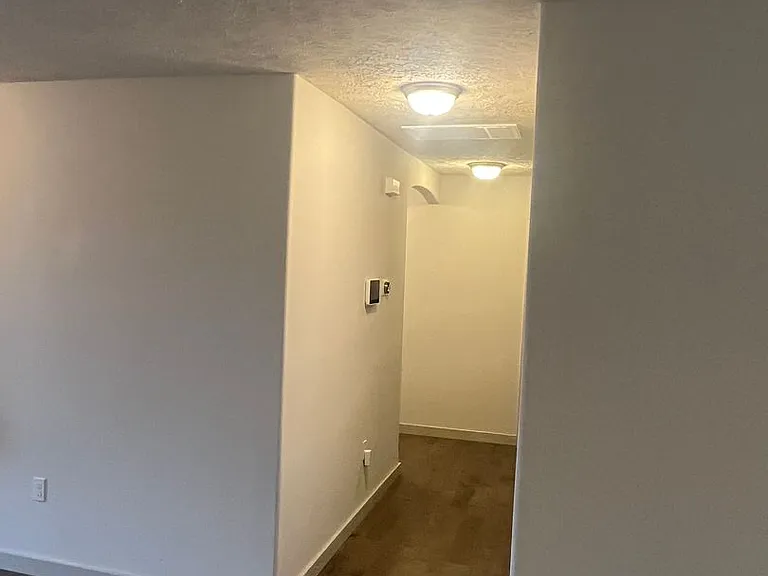 5371 Basswood Ct — Photo 6