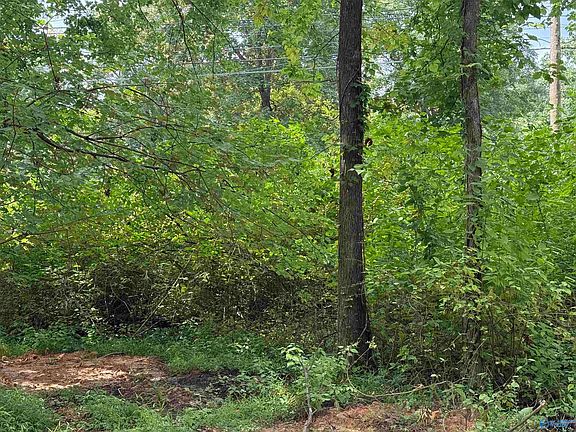 3rd image of 2 Monte Sano Blvd SE