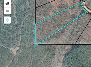 384 Zellner Rd, Forsyth, GA 31029