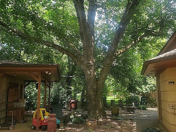 Back yard huge patio shaded
