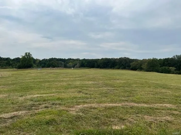 15022 Boiling Springs Rd, Licking, MO 65542