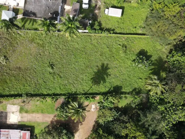 Calle Volcan 83 Carr #871, Bayamon, PR 00961