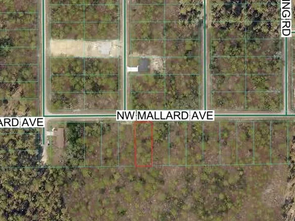 NW Mallard Ave Lot 24, Dunnellon, FL 34431