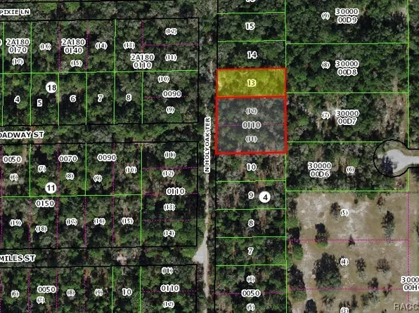 10151 & 10175 N Holyoak Ter, Dunnellon, FL 34433
