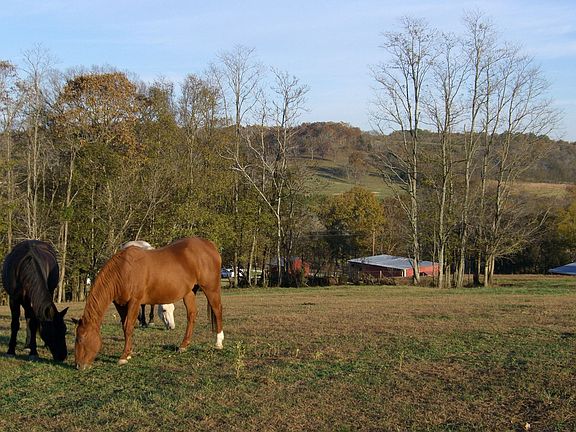 Pasture behind/above house
