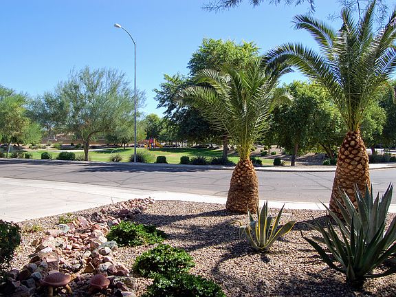 Park view from front of home