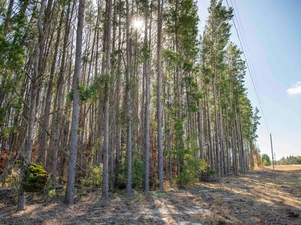 0 NE Liquorice Way, Lee, FL 32059