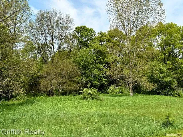 8408 Walkabout Way photo 1
