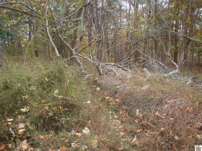 10 Shiloh Ln, Cadiz, KY, 42211