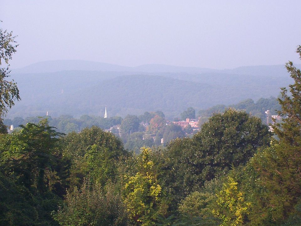 view off back deck in summer