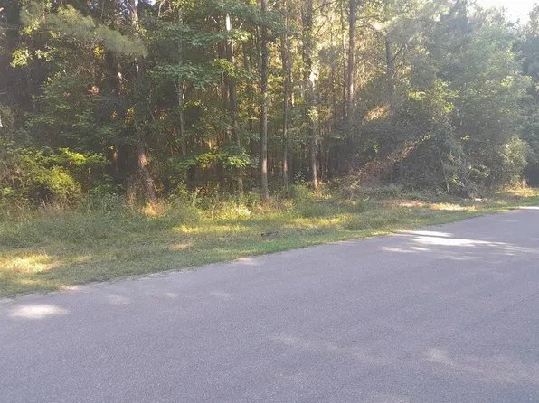 556 Pine St, Holly Hill, SC 29059