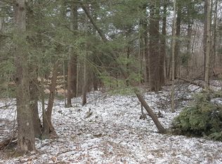 Andrus Hill Rd, Ulster, PA 18850