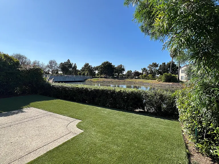 Trees and bushes surrounding the backyard for privacy