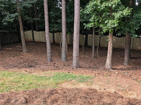 Fenced back yard