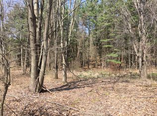 2654 W Winegar Rd, Morrice, MI 48857