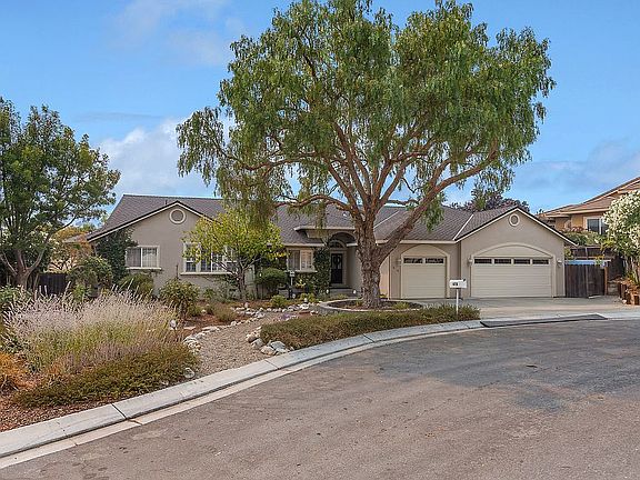 Mature trees and landscape