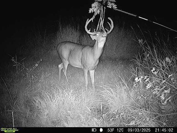 5th image of 44+/- Acres 14th Road