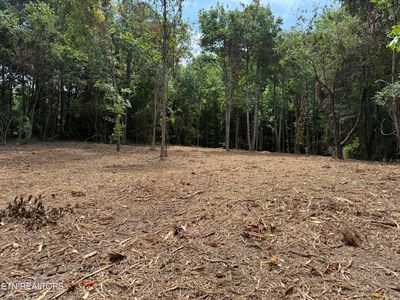 0 Bunch Ln, Clinton, TN, 37716