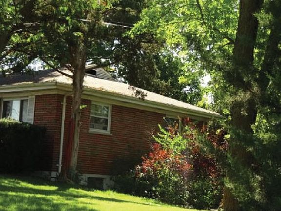 Property Side View