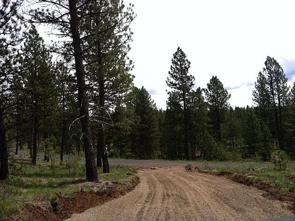 5th image of LOT 8 W Pine Dr