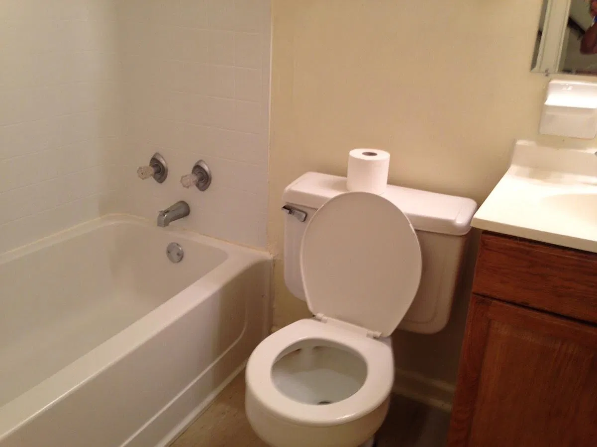 3 bed, 1300 sqft, $1,350 — Photo 3