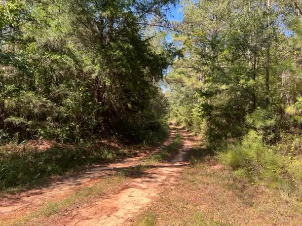 Drewry Rd, Monroeville, AL 36460